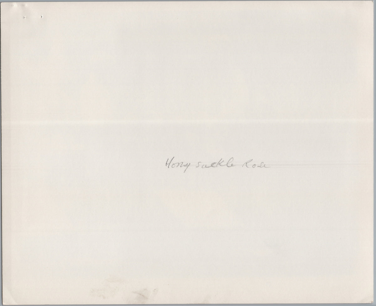 A04011 — reverse and markings