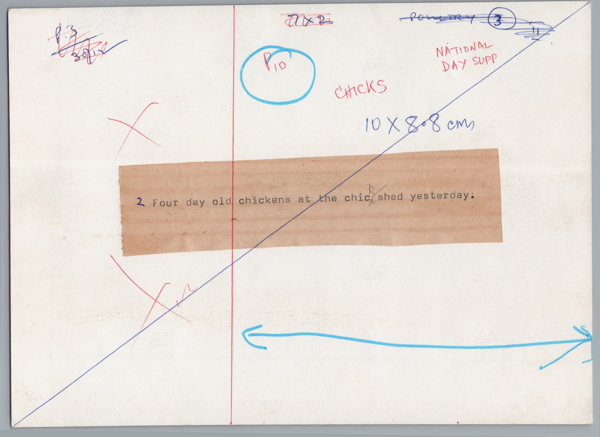 A04070 — reverse and markings