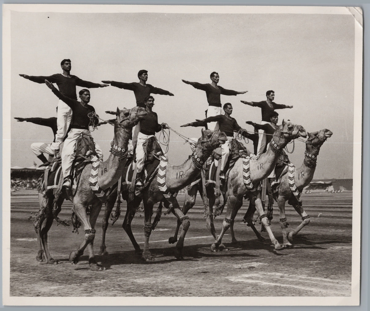 Lahore — Camel Race at the National Horse and Cattle Show — front