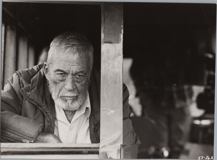 Man Leaning at an Open Window