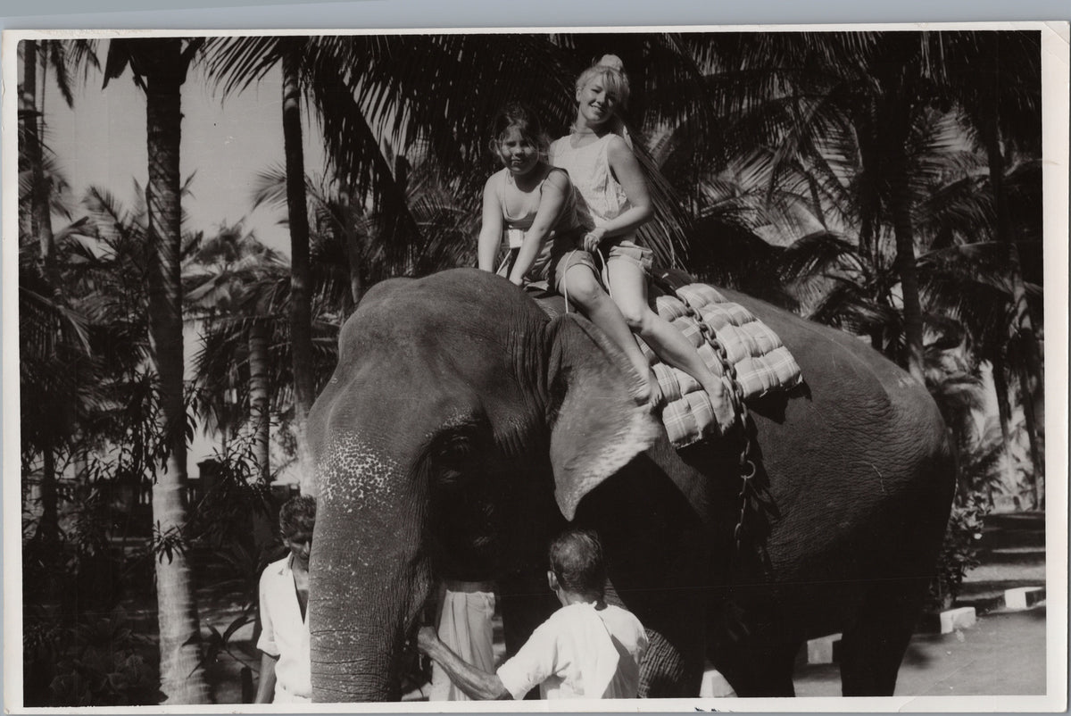 Young Elephant Riders Among Palm Trees — front